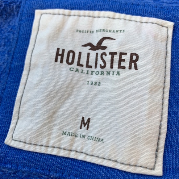 Blue zip hoodie with green appliqué and gold glitter seagull Holister - Picture 4 of 4